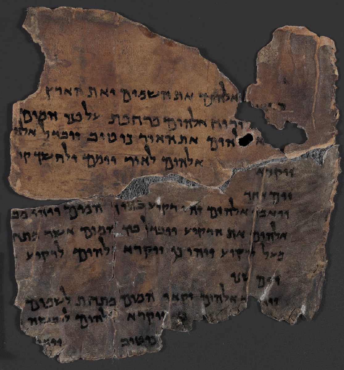 A Genesis fragment among the Dead Sea Scrolls