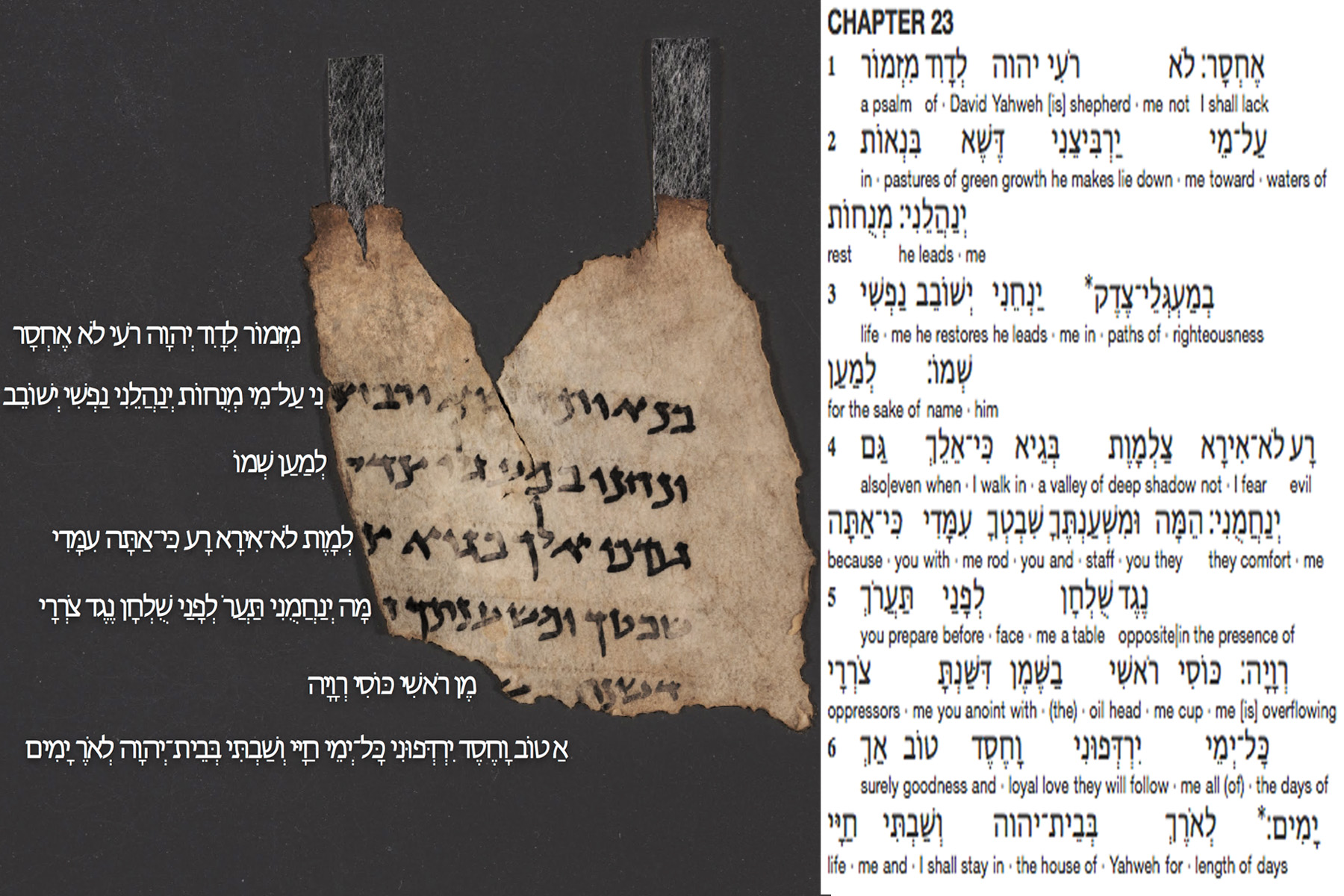 A Psalm 23 fragment among the Dead Sea Scrolls